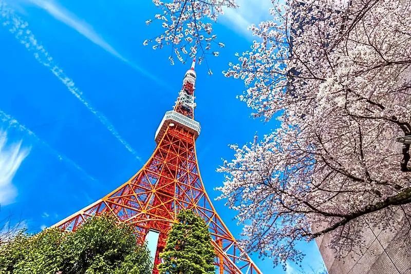Candeo Hotels Tokyo Shimbashi